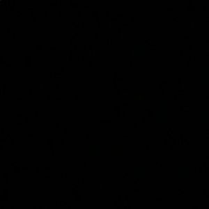 Meet your Posher, Vicky